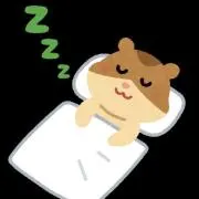 Zzz(平日発送)の画像