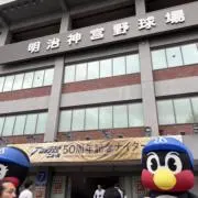 しろくまの画像