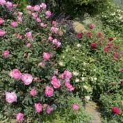 ゆう✿お値下げ相談歓迎の画像