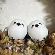 こっこの画像