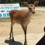 ロビン  プロフお読み下さい♡