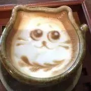 あやの画像