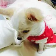 Mizuki