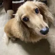 にっしゃん