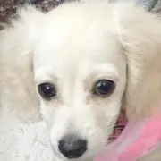 Kitty♡