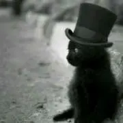 猫舌