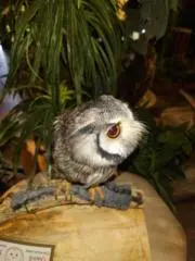 Coco◎プロフご一読ください☆の画像