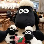 かるがもの画像