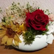 Kukuの画像