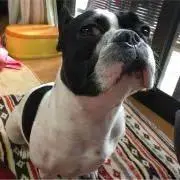 のすけ
