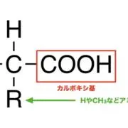 mitsuoの画像