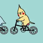 おから