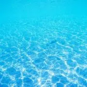 海の画像