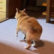 まみむめーめಠಠ⸝⋆の画像