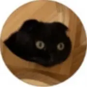 とくしゅいぬの画像