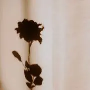 io 断捨離中の画像