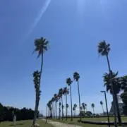 碧