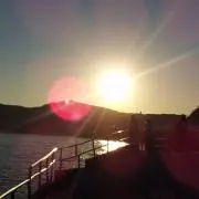 はみでの画像