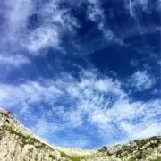 いのさんの画像