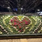 ひろ☆プロフ必読の画像