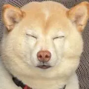 REIの画像