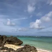 ryuryuの画像