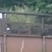 やすだの画像