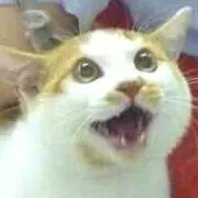 タッチ