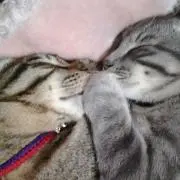 くーちゃんの画像