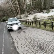 アゲ虎プラ男