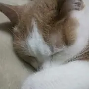 アンク
