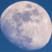 マドロムの画像