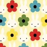 きらりんの画像