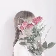 ひかりの画像