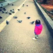 なかりの画像