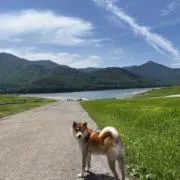 ✨もみ✨不定期でフォロー割開催中の画像
