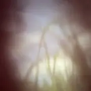 信川