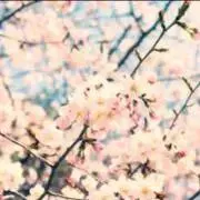 なっつ