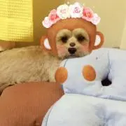 aqu︎☺︎