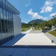 ののの画像