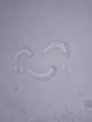 なつ⋆☽·̩͙‪