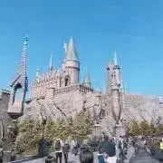 もずくの画像