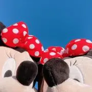 はなちゃんの画像