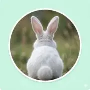 ドロラッキーの画像