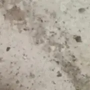 タピオカ