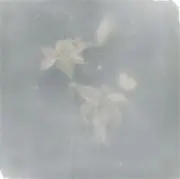 Heumの画像