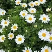 sol☀️の画像