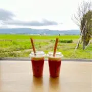 ペータの画像