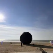 おしょの画像