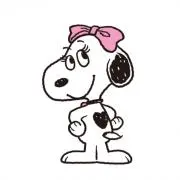 pipi